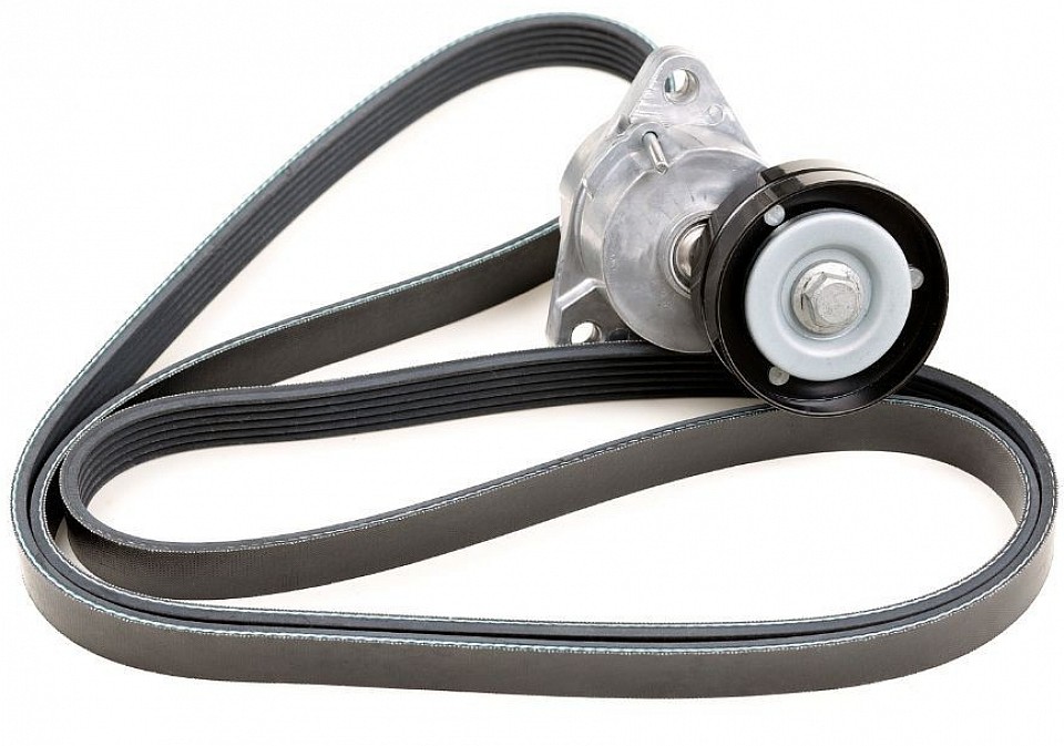 Correa serpentina y tensor